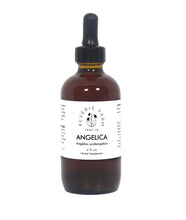 Angelica root tincture, Organic Angelica archangelica root