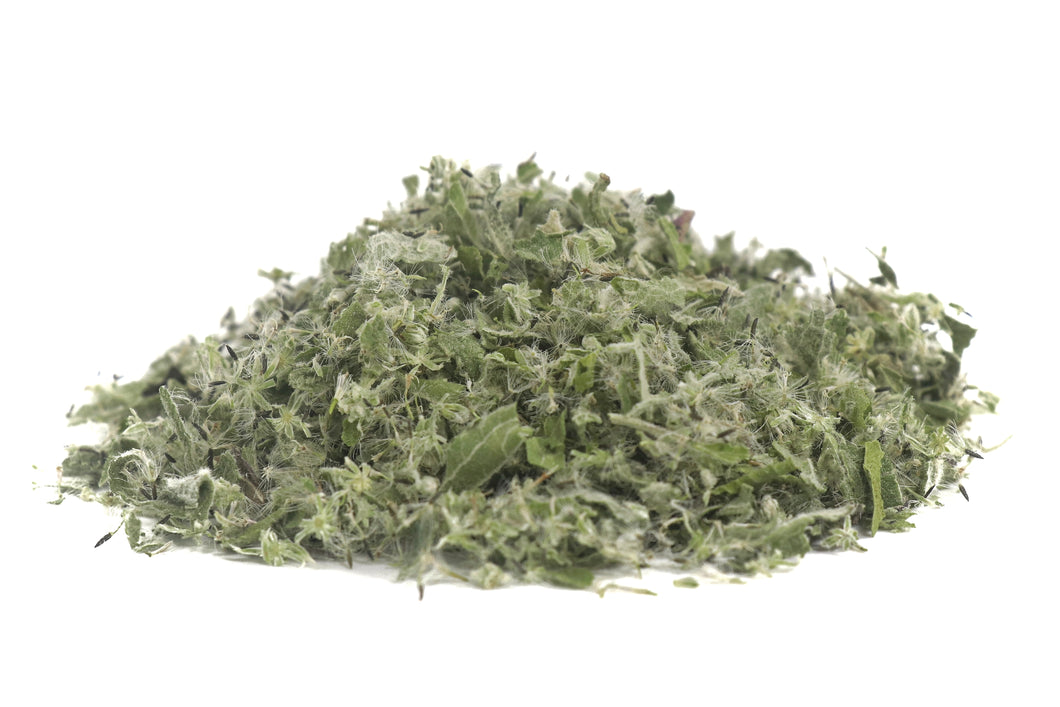 Boneset dried herb, Eupatorium perfoliatum organic herb