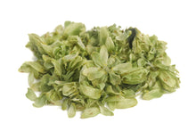 Hops, dried organic medicinal Humulus lupulus strobiles 1 oz.