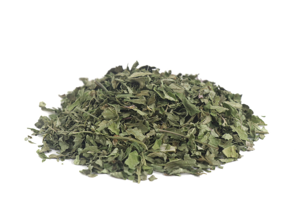 Horsemint tea herb, dried bulk Agastache urticifolia, Giant Hyssop nettleleaf