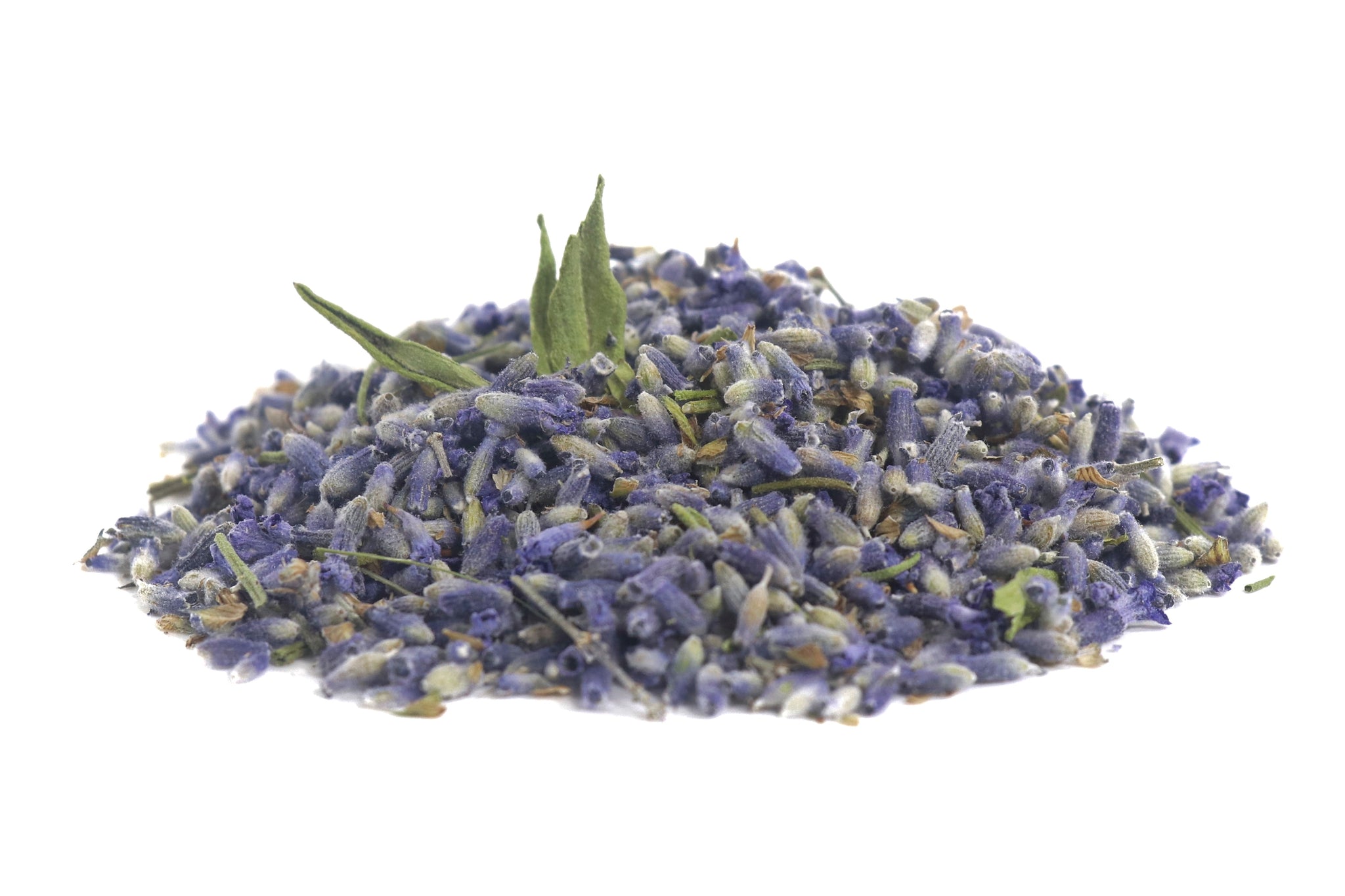 is lavender a herb or flower Lavender dried herb, sustainable USA grown Lavandula angustifolia drie – Reverie Farm