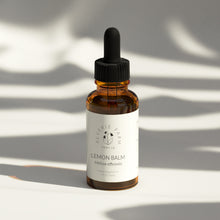 Lemon Balm Tincture, Melissa officinalis sustainable USA grown herb