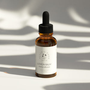 Lemon Balm Tincture, Melissa officinalis sustainable USA grown herb