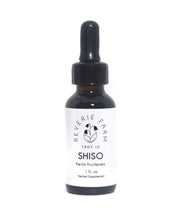 Shiso Tincture, shiso zisu herb, Perilla fructescens organic extract