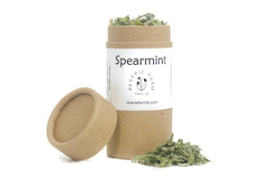 Wellness Herbs Gift- Mint Tea Sampler: Lemon Balm, Spearmint, Moroccan Mint, Anise Hyssop eco-friendly recyclable organically grown USA