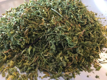 Sweet Annie Tincture, Qing Hao herb, Artemisia annua organic