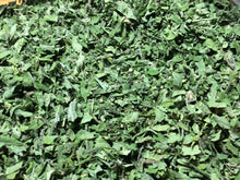 Nettles Glycerite, Urtica dioica herb, organic