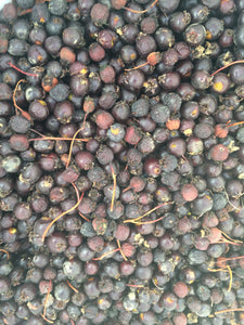Hawthorne Tincture, Cratageous douglasii organic berries