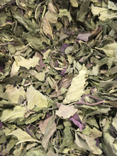 Bergamot, dried Monarda fistulosa organic herb