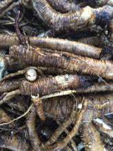 Black Cohosh tincture, Organic Actaea racemosa (Cimicifuga racemosa) root