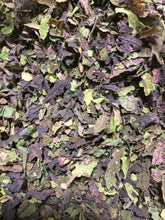 Shiso Zisu herb, dried Perilla fructescens organic