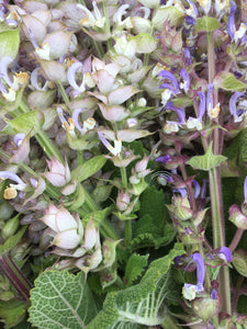 Clary Sage tincture, Organic Salvia sclarea fresh organic herb extract