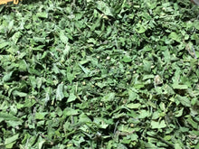 Peppermint dried herb tea, organic bulk Mentha piperita